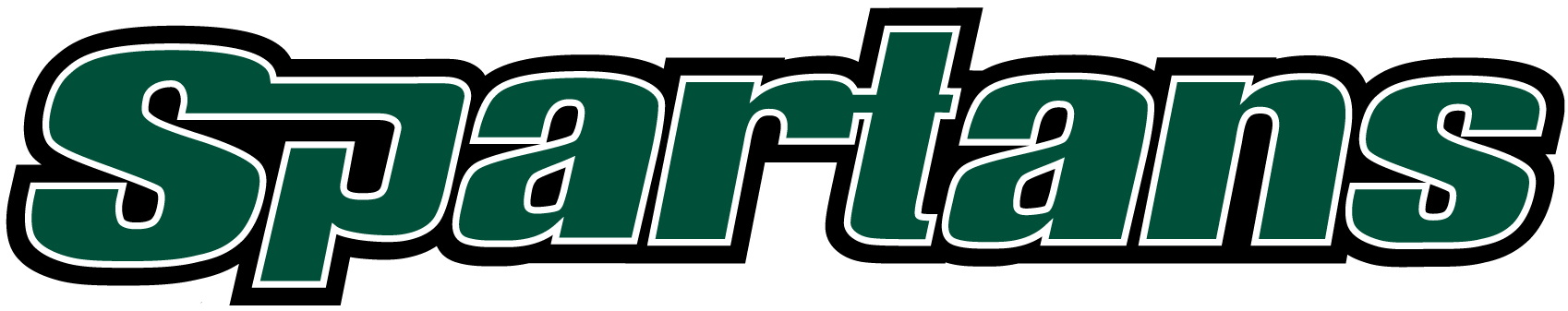USC Upstate Spartans 2003-2010 Wordmark Logo iron on transfers for fabric